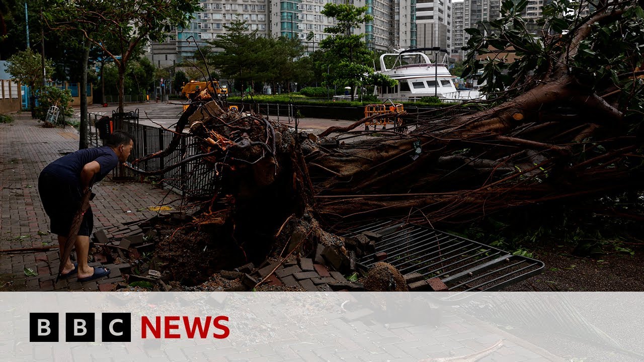 Typhoon Saola Makes Landfall In China - BBC News - World News