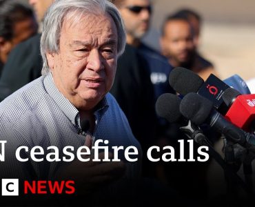 UN chief calls for immediate Gaza ceasefire | BBC News