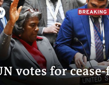 UN Security Council approves resolution for cease-fire in Gaza | DW News