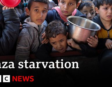 Evidence that Israel is using starvation as weapon of war in Gaza says UN  | BBC News