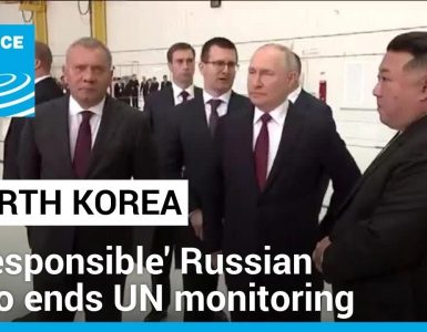 Seoul slams 'irresponsible' Russian veto ending UN North Korea sanctions monitoring • FRANCE 24