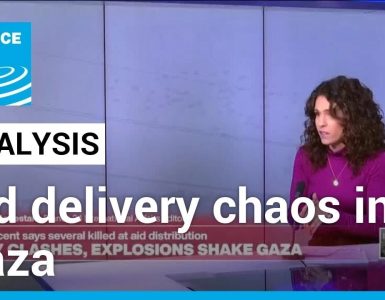 Israel-Hamas war: What do we know about Gaza aid delivery chaos • FRANCE 24 English