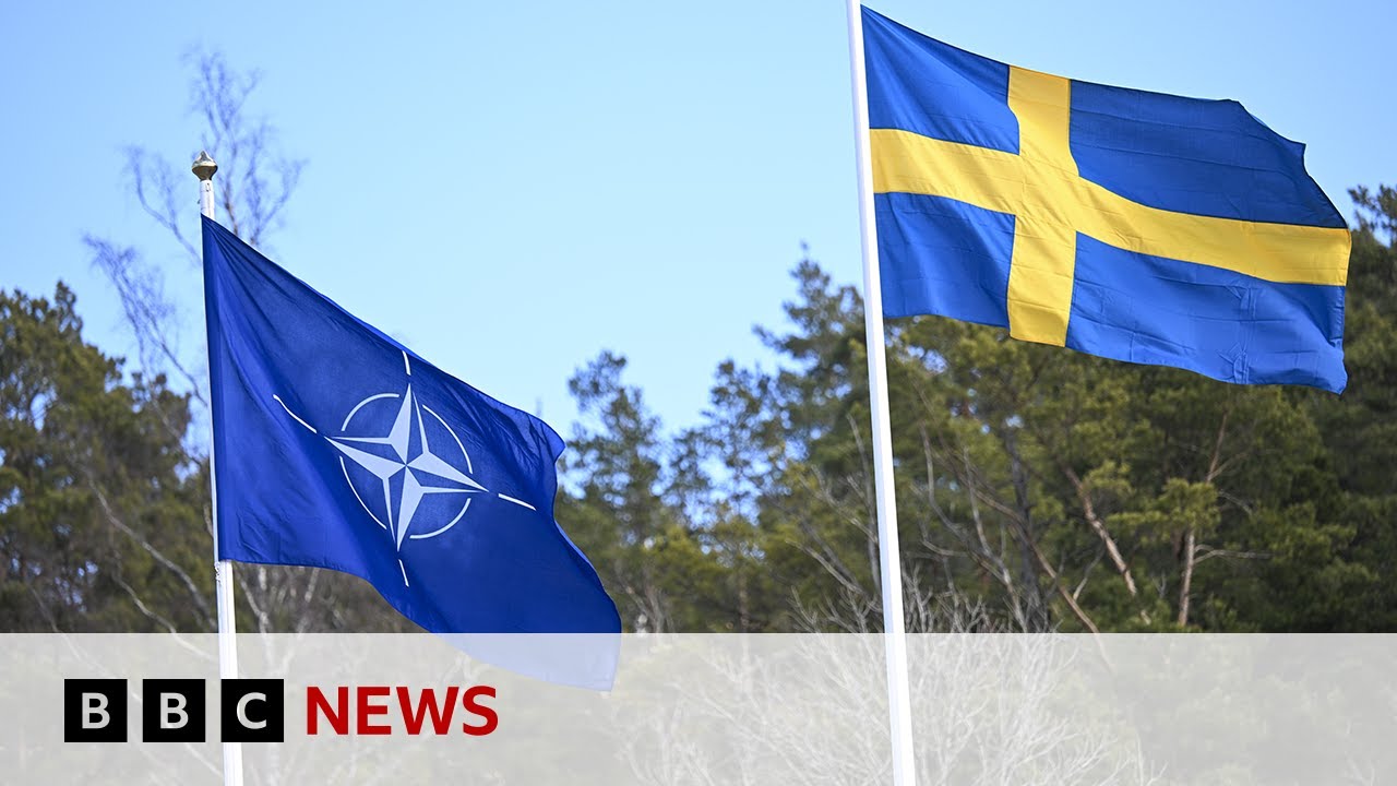 Sweden and Finland join Nato military exercises BBC News World News