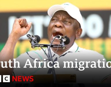 South African elections: Rising tension over illegal migration | BBC News