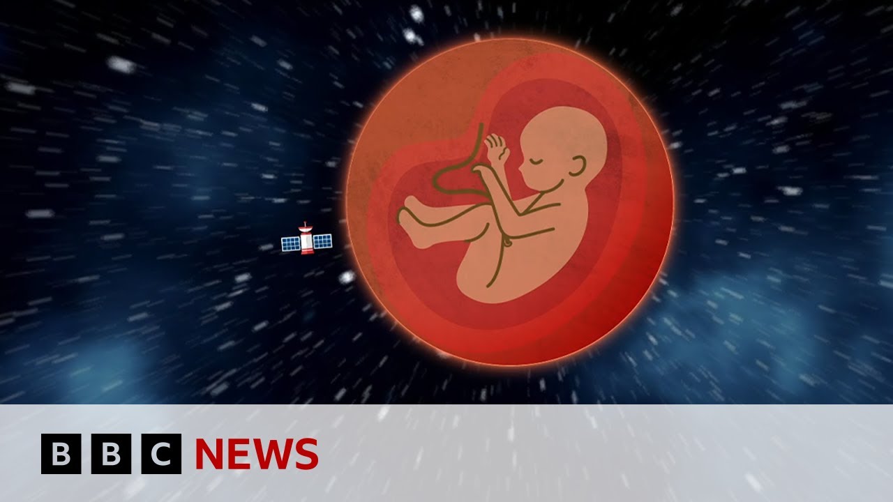 Could we have babies in space? BBC Ideas World News