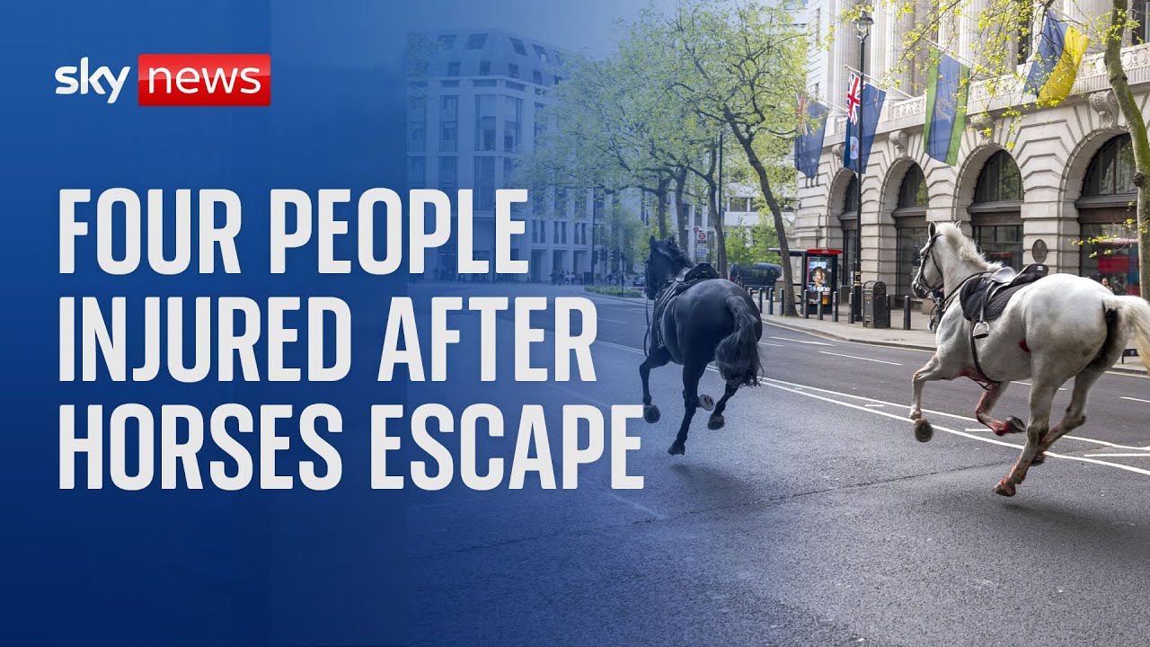 Four people injured after military horses escape in London - World News