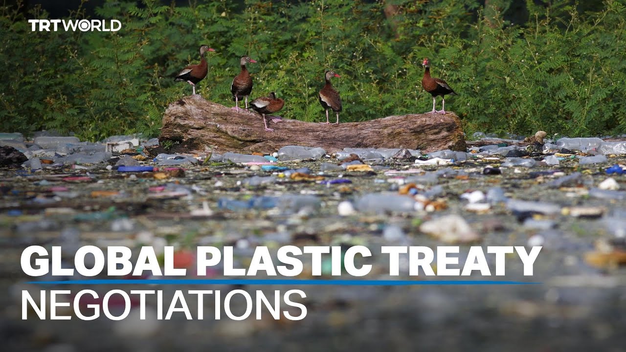 Fourth session of UN-led plastic treaty talks begin in Ottowa - World News