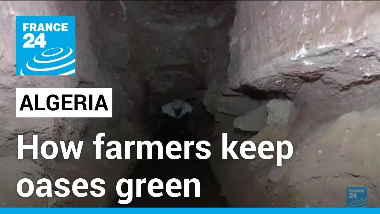 Algeria's 'foggara' Irrigation System: How Farmers Keep Oases Green 