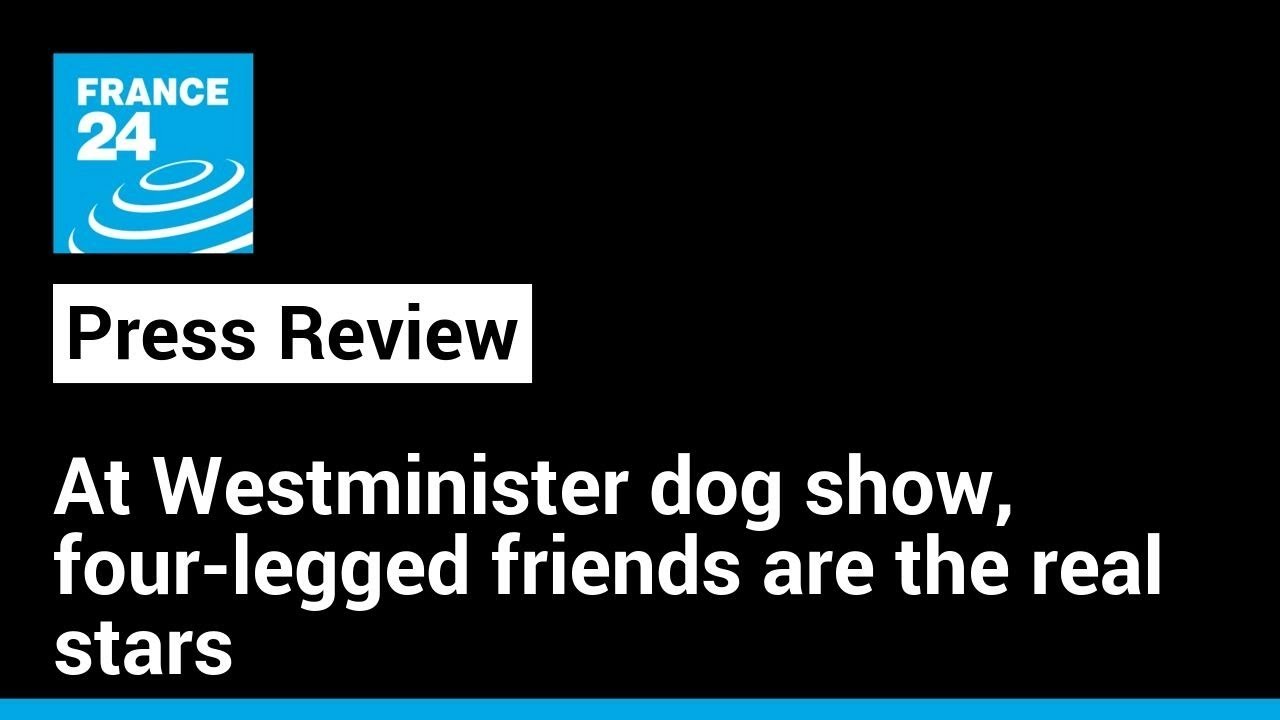 IN THE PRESS • FRANCE 24 English - World News