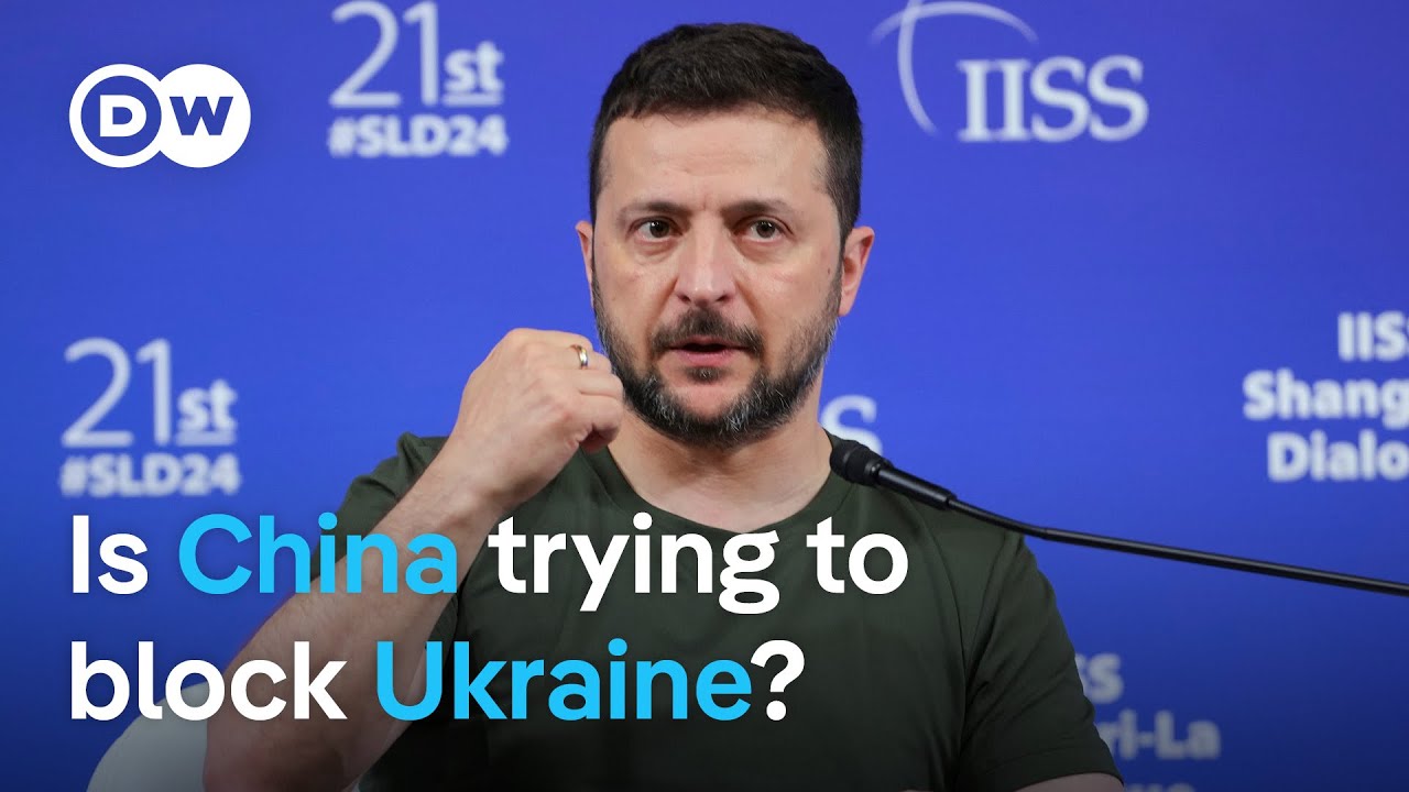 Zelenskyy Accuses China & Russia Of Disrupting Peace Efforts | DW News ...