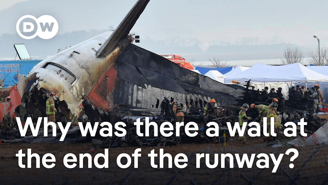 South Korea plane crash What do the experts say? DW News World News