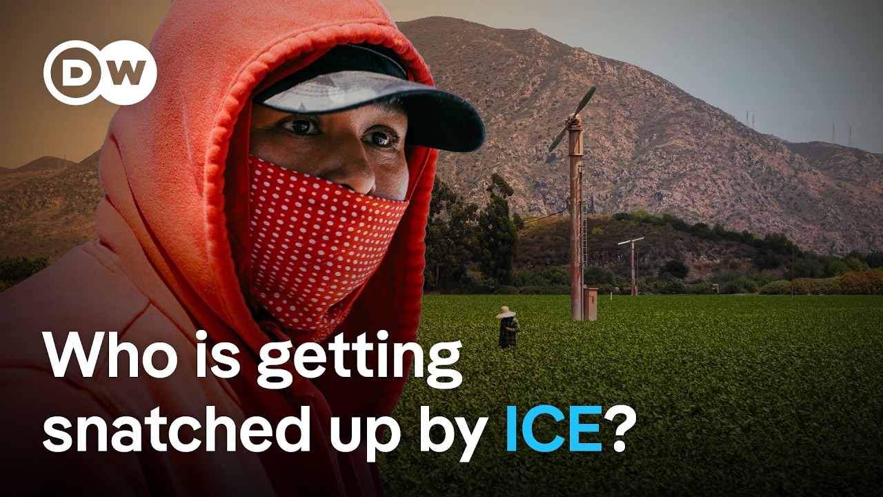 How ICE raids send shockwaves through local communities | DW News