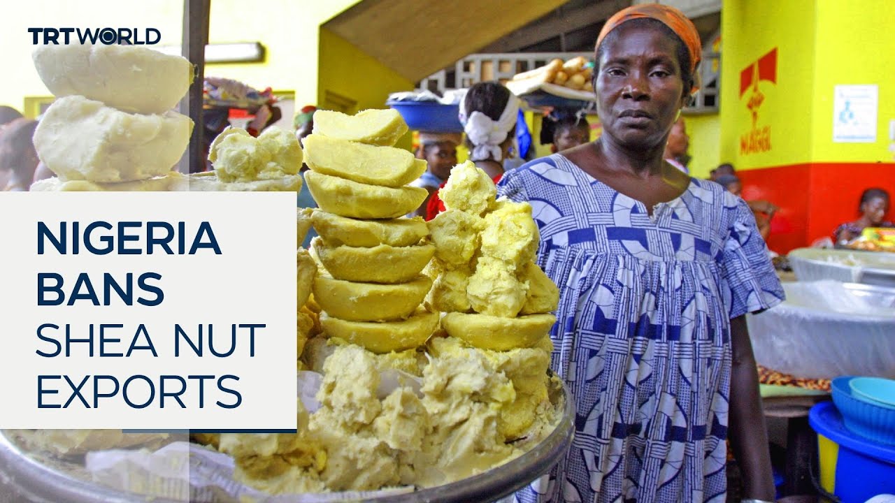 shea export