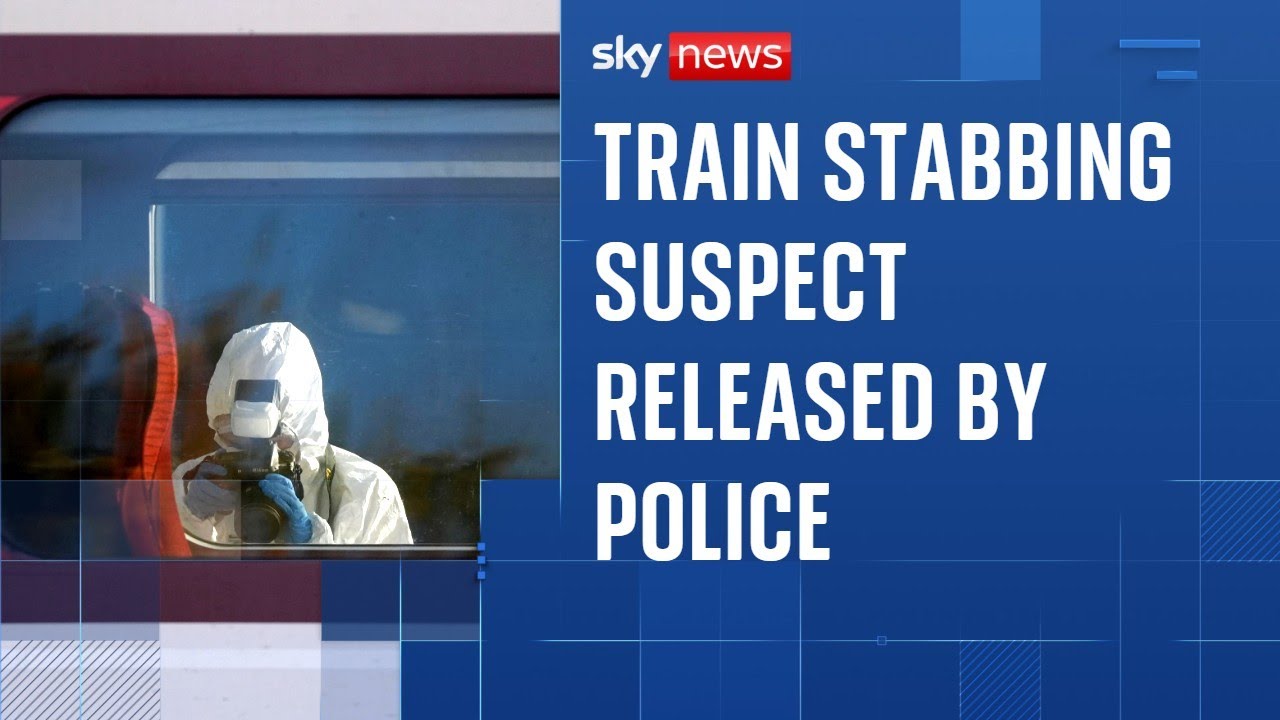 British man remains in custody after mass stabbing attack on train ...